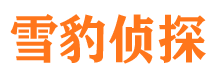 游仙市调查公司